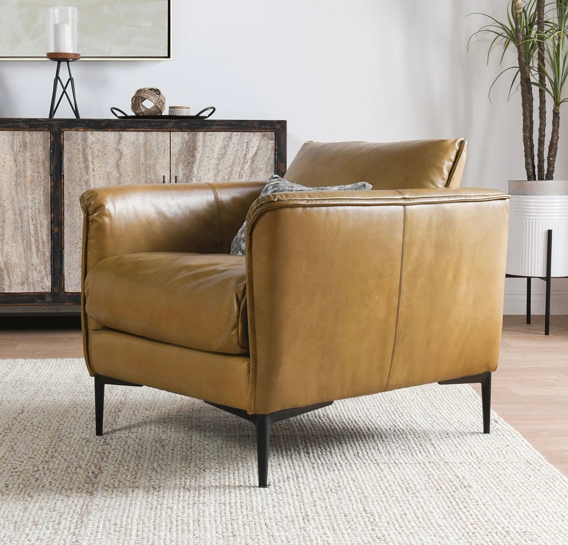 Savanah - Top Grain Leather Club Chair - The Furnishery