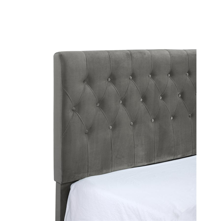 Aurora Tufted Upholstered Bed - Dark Grey - The Furnishery