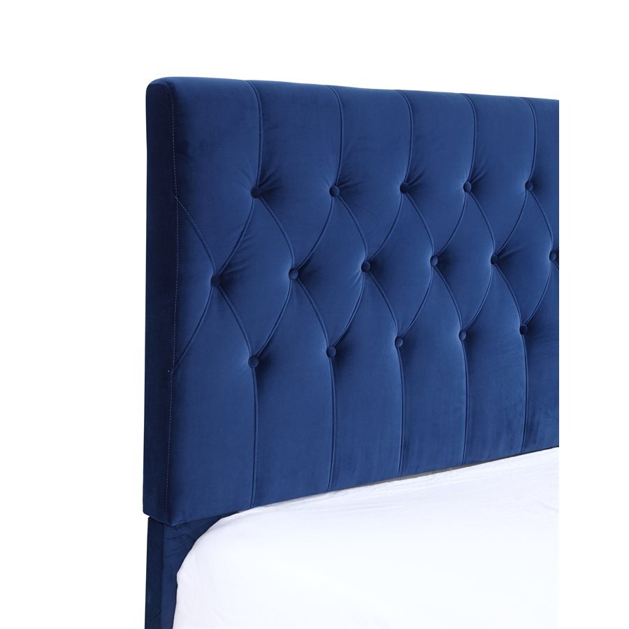 Aurora Tufted Upholstered Bed - Navy - The Furnishery