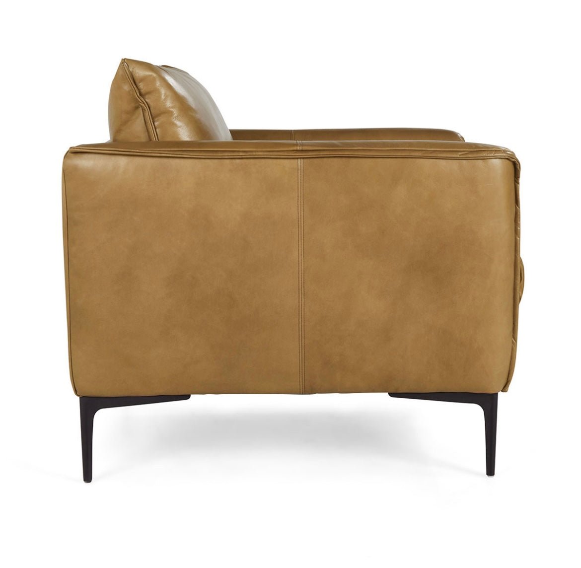 Savanah - Top Grain Leather Club Chair - The Furnishery