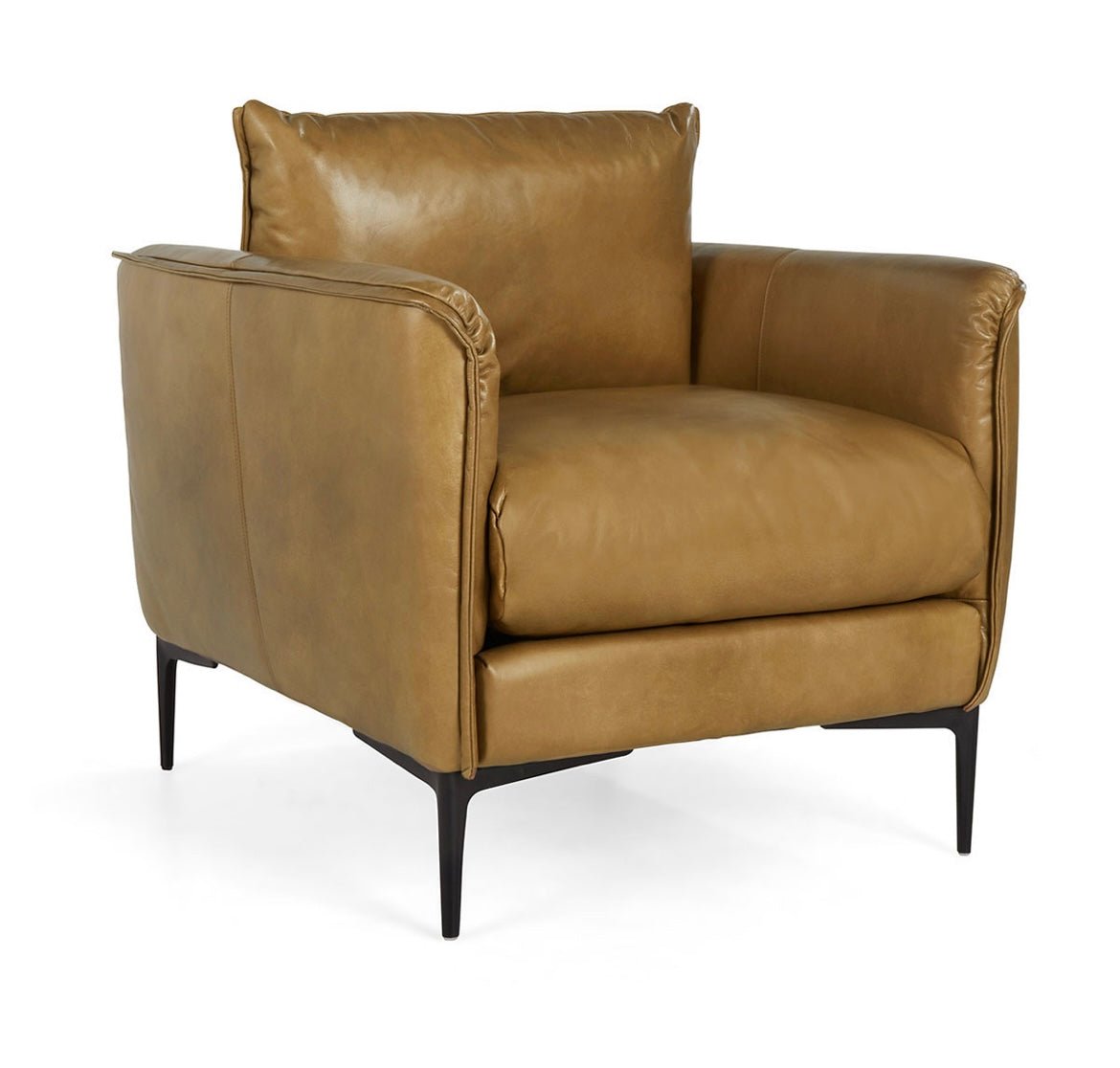 Savanah - Top Grain Leather Club Chair - The Furnishery