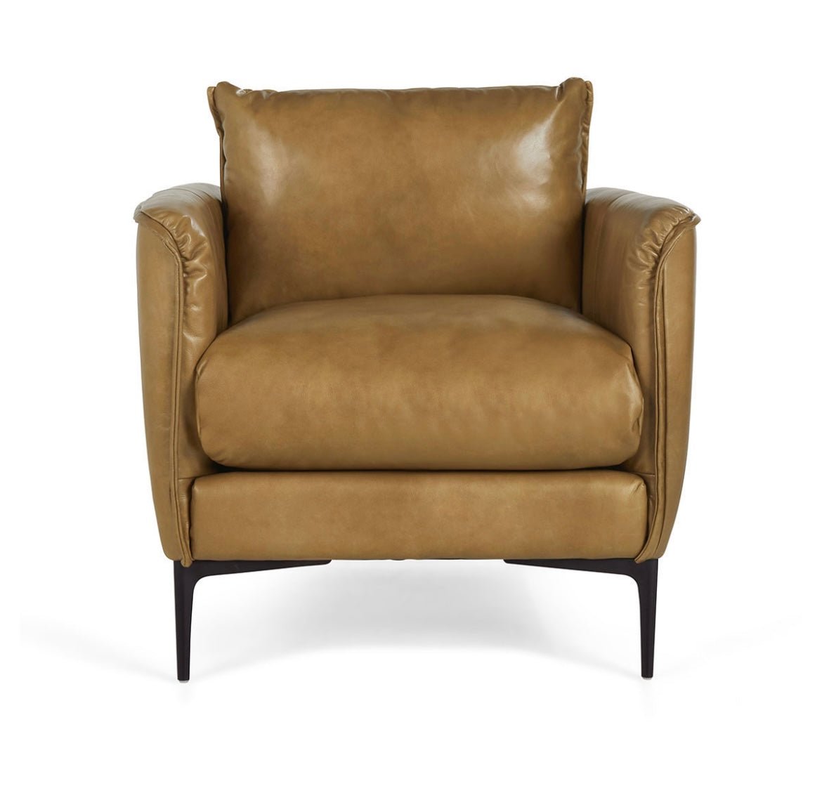 Savanah - Top Grain Leather Club Chair - The Furnishery