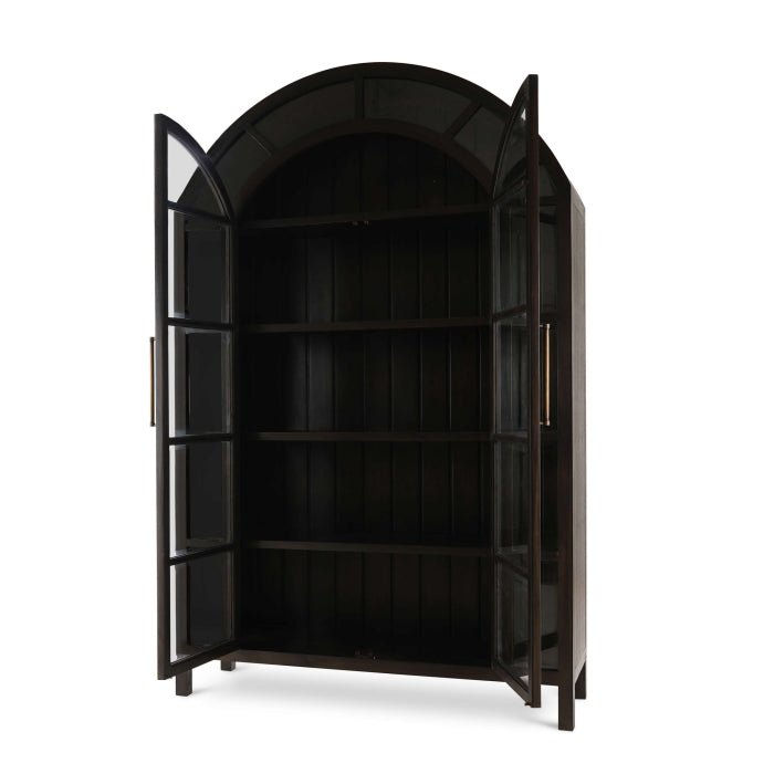 Vizcaya - 2 Door Display Cabinet - Black - The Furnishery