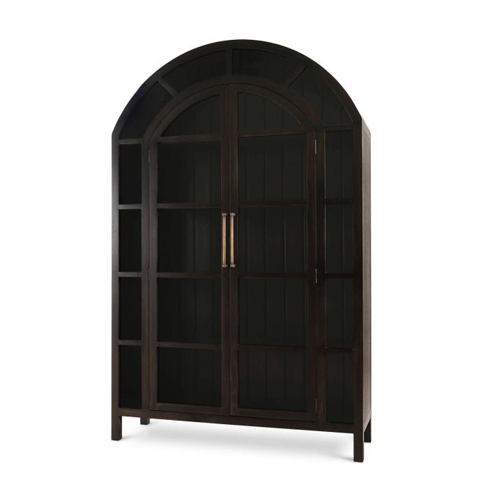Vizcaya - 2 Door Display Cabinet - Black - The Furnishery